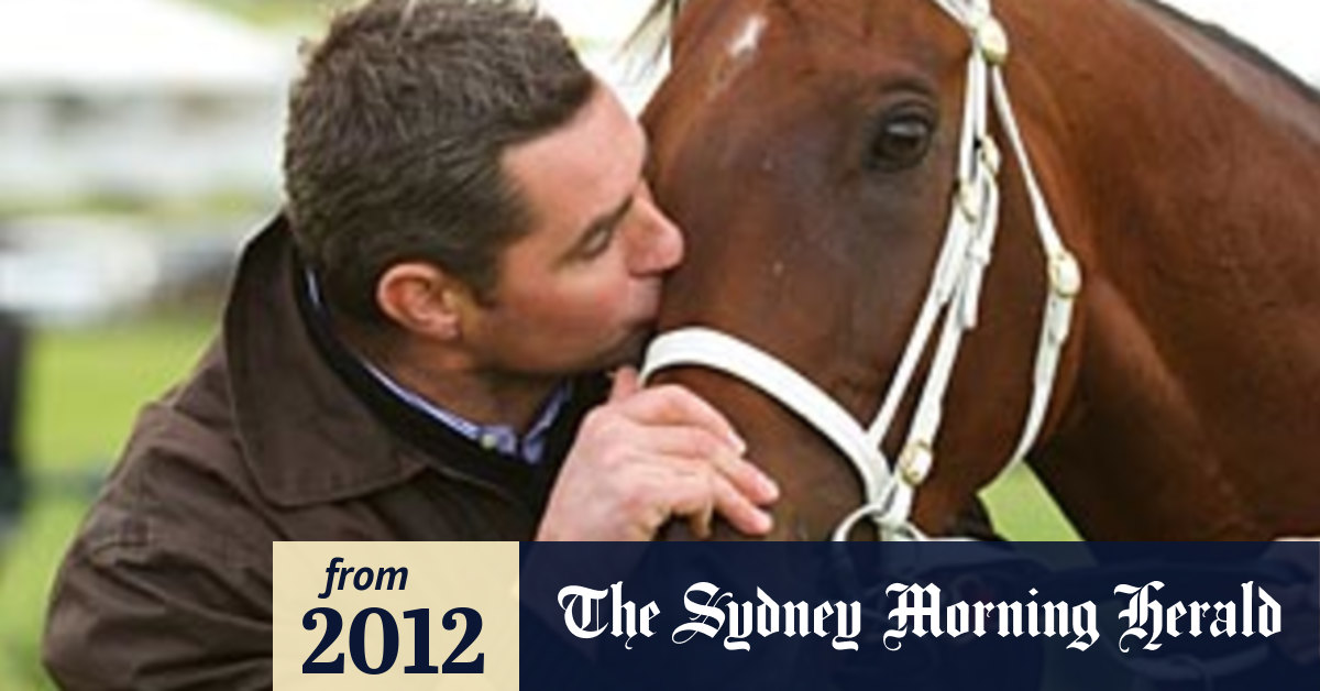 home trainer second hand